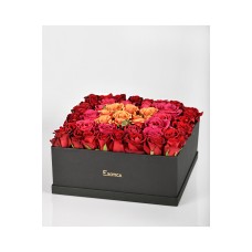 Splendid Roses